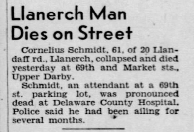 Schmidt dies